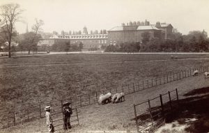 Hampton Court today. Image from Wikipedia.