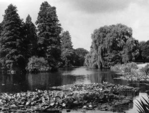 Lago de Kew Gardens en 1930. Postal de época.