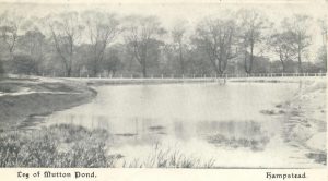 Leg of Mutton Pond en 1903. Postal de época.