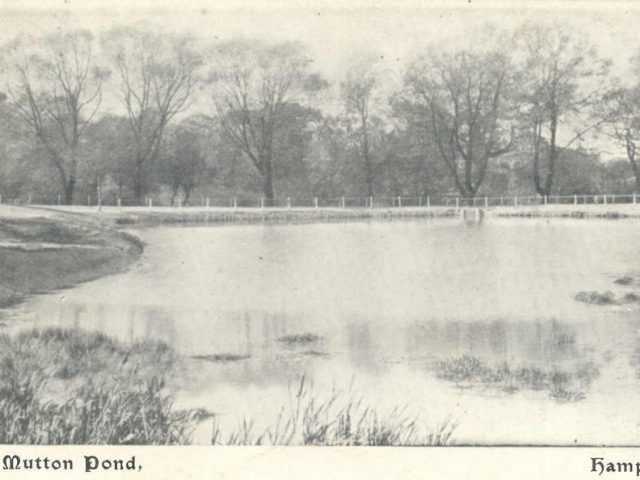 Leg of Mutton Pond