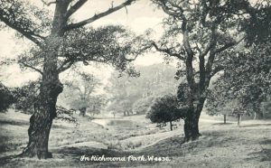 Richmond Park a principios del siglo XX. Postal de la época.