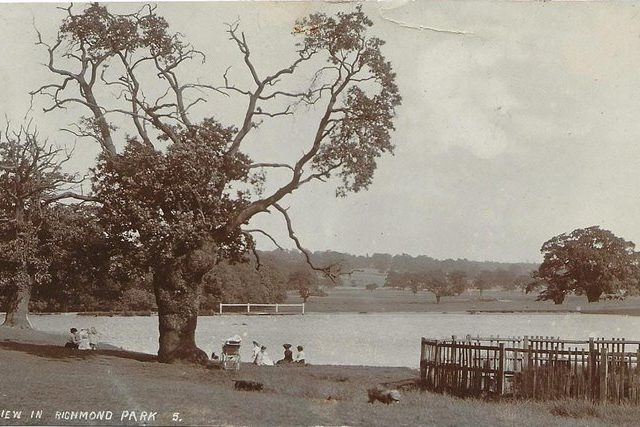 Richmond Park