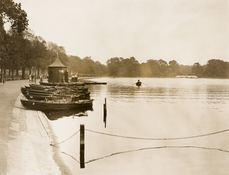 Serpentine
